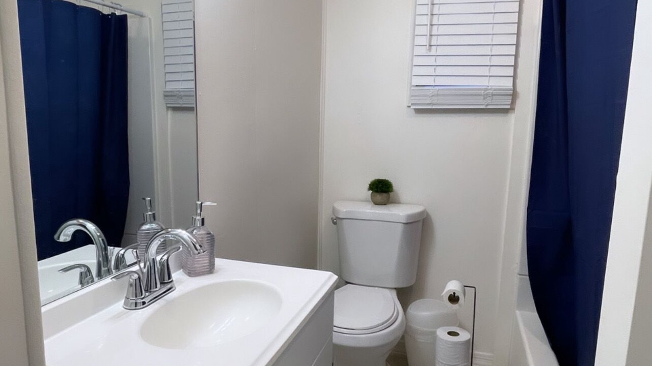 Photo of Others in Needles