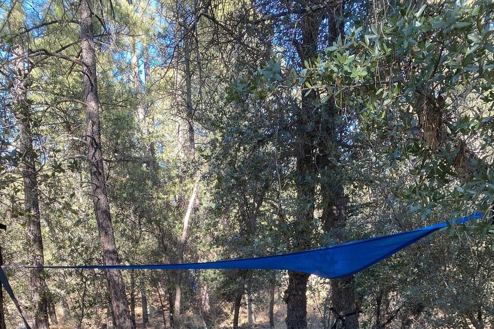 Photo of Others in Ponderosa Park