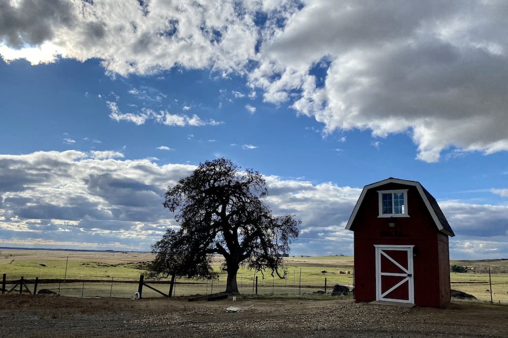 Photo of Outdoor in Raymond