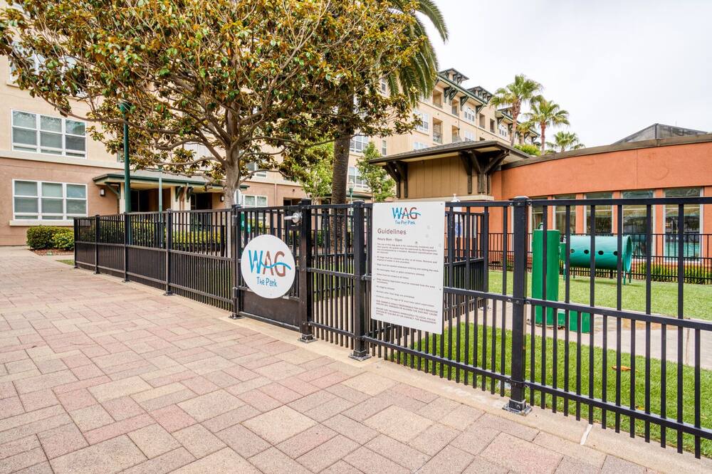 Photo of Outdoor in San Bruno