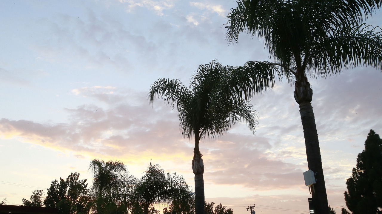 Photo of Outdoor in Orange