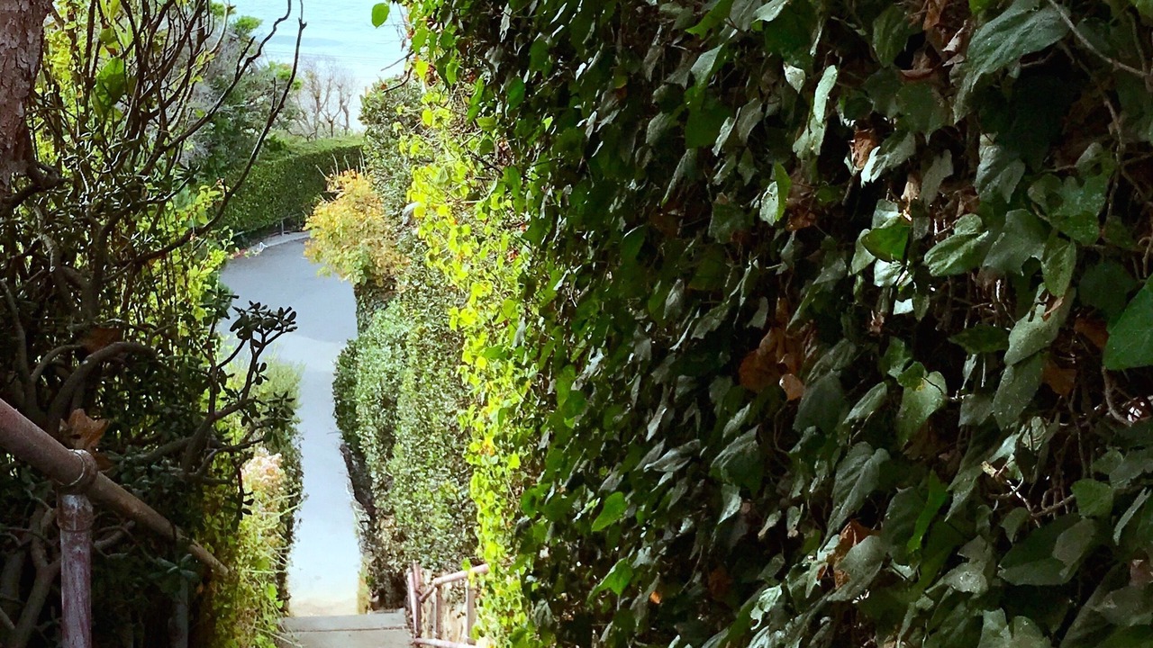 Photo of Outdoor in Pacific Palisades