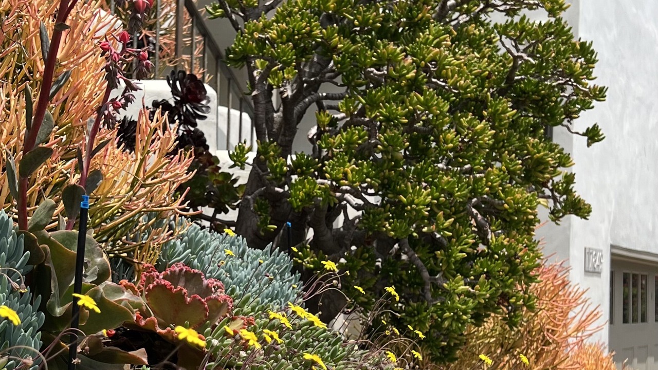 Photo of Outdoor in Pacific Palisades