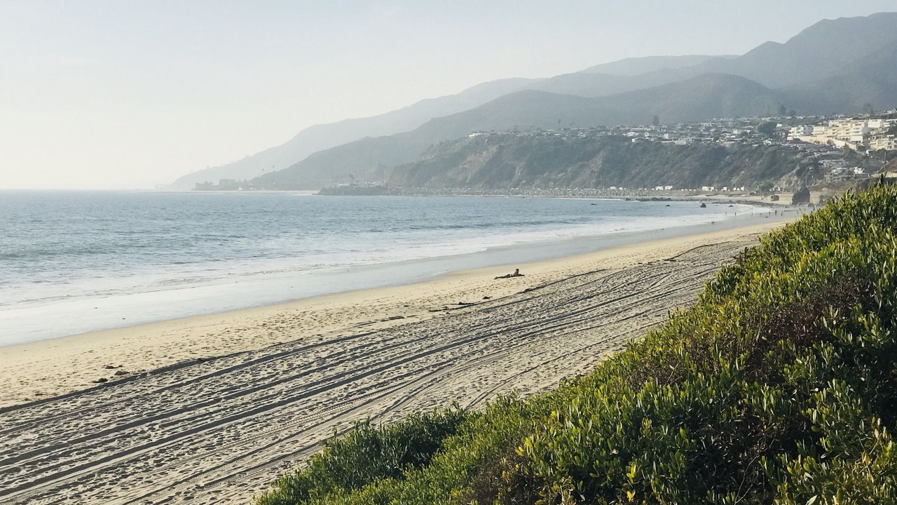 Photo of Others in Pacific Palisades