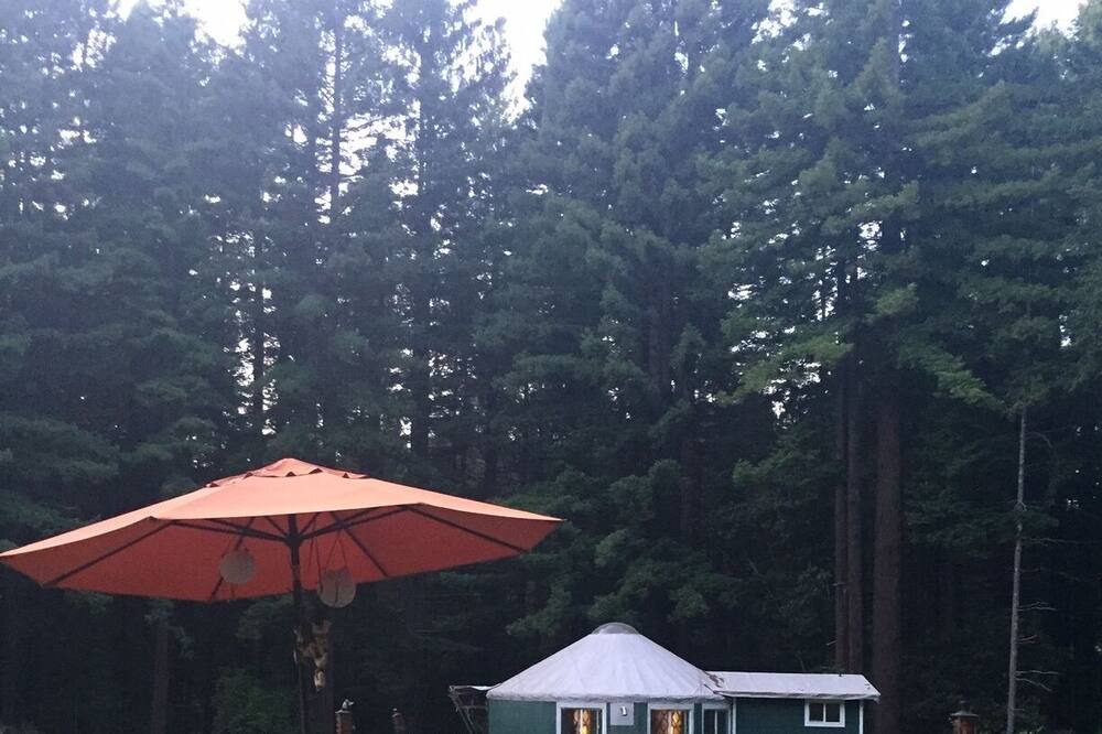 Photo of Outdoor in Fieldbrook