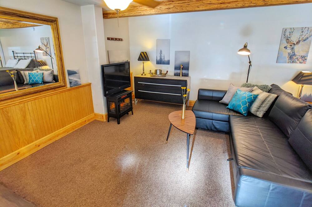 Photo of Livingroom in Downieville
