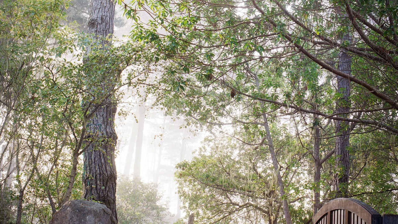 Photo of Outdoor in Timber Cove