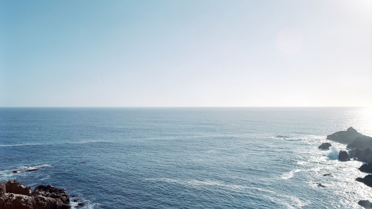 Photo of Others in Timber Cove