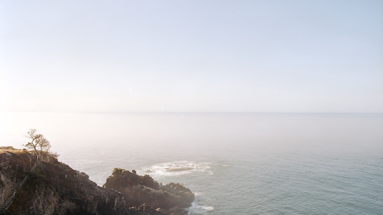 Photo of Others in Timber Cove