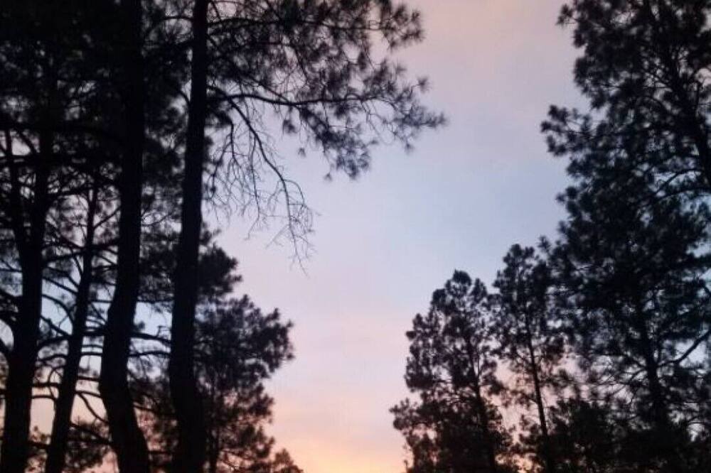 Photo of Others in Prescott
