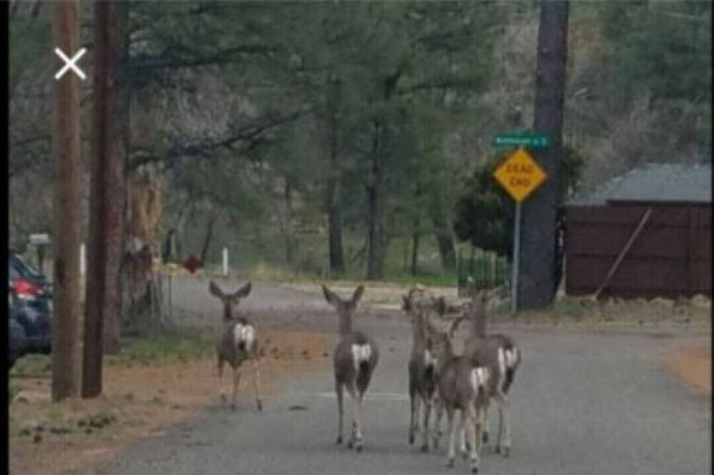 Photo of Others in Prescott