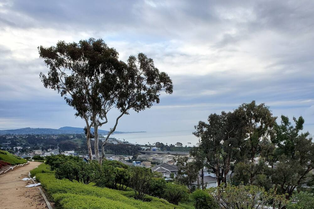 Photo of Outdoor in Dana Point