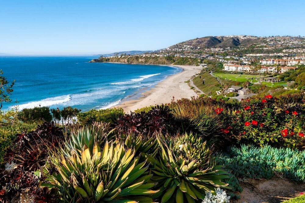 Photo of Others in Dana Point