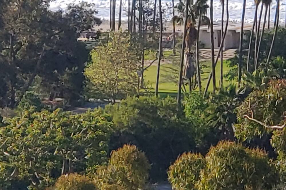 Photo of Outdoor in Dana Point