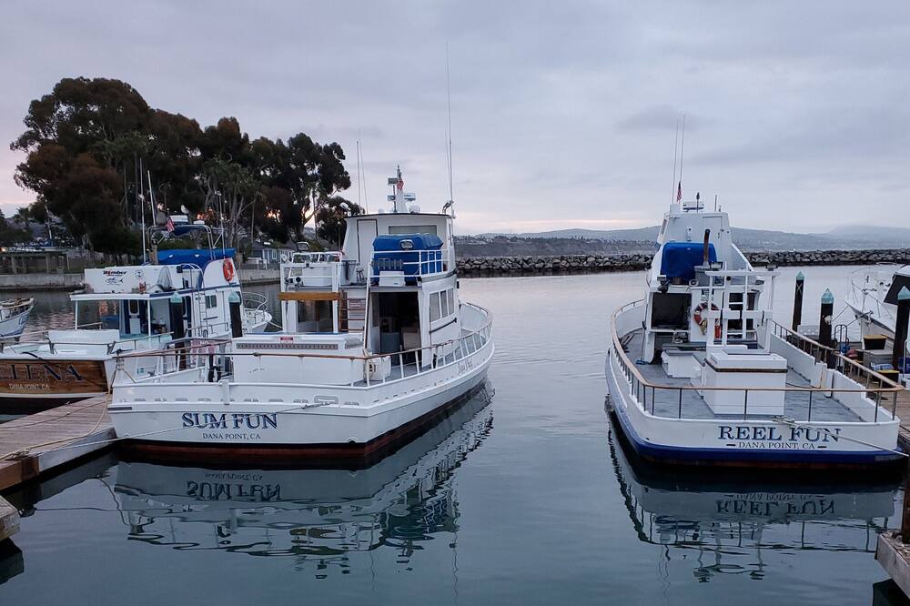 Photo of Outdoor in Dana Point