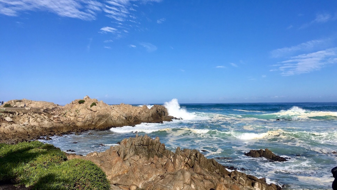 Photo of Others in Pacific Grove