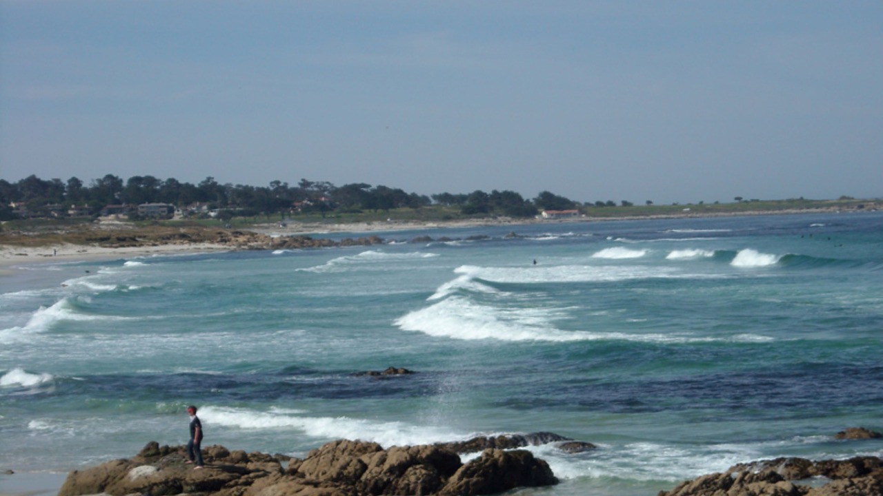 Photo of Others in Pacific Grove