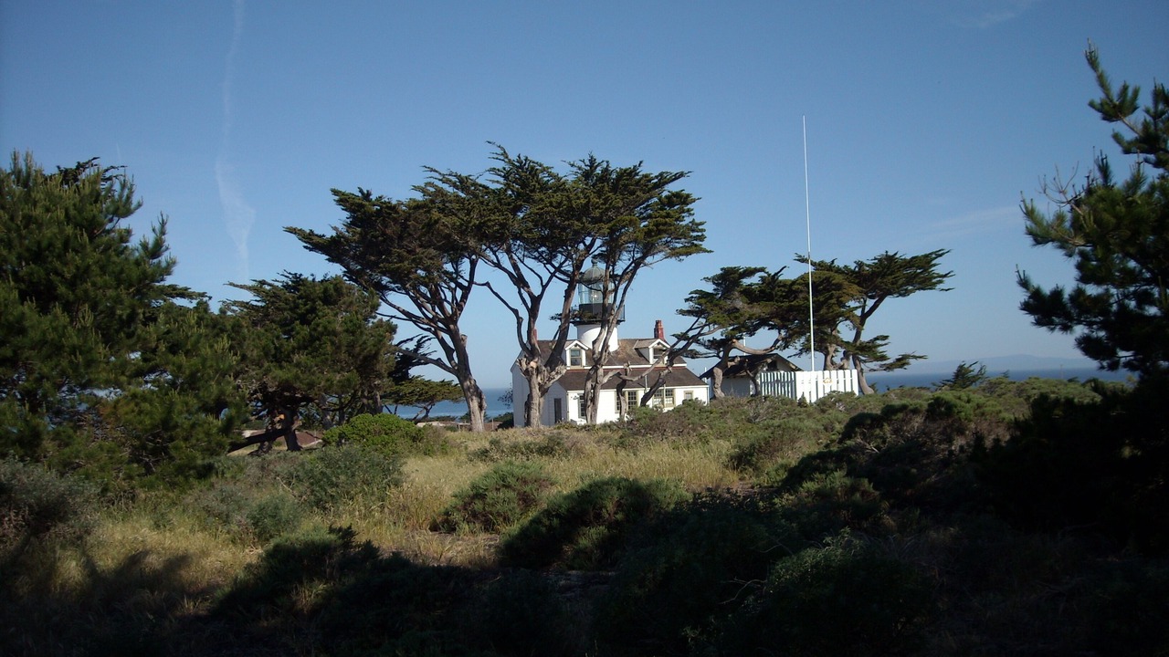 Photo of Others in Pacific Grove