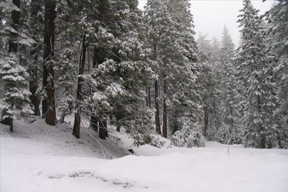 Photo of Others in Tahoe Pines