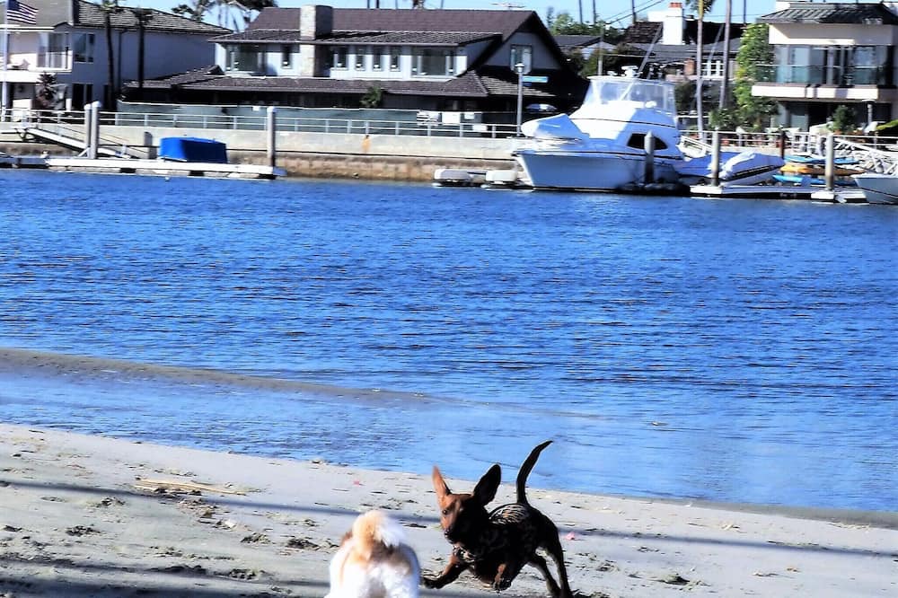 Photo of Others in Peninsula