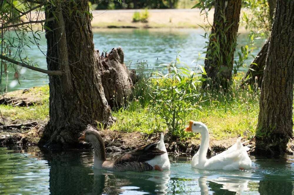 Photo of Others in Vacaville