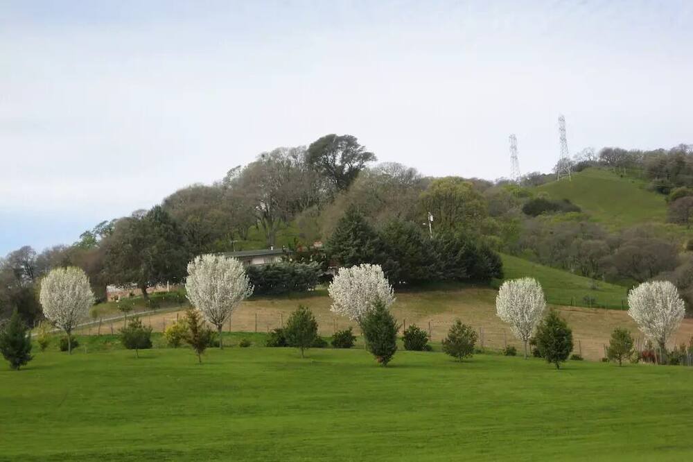 Photo of Others in Vacaville