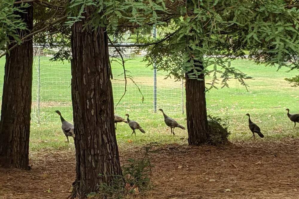 Photo of Others in Vacaville