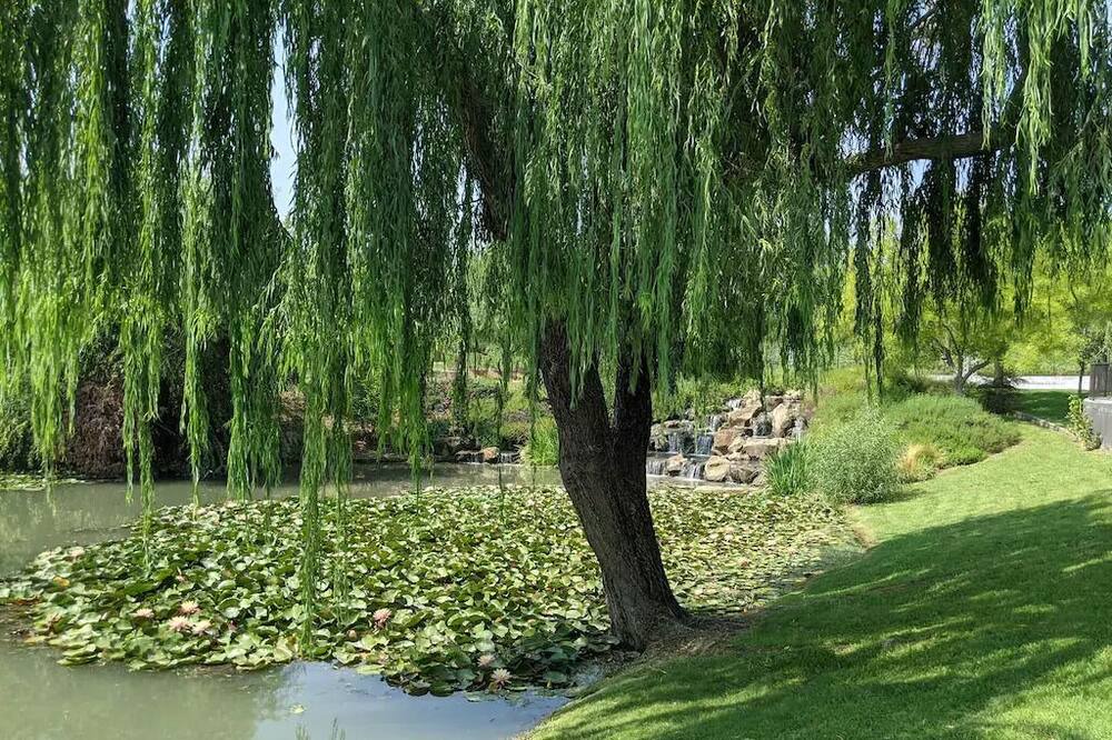 Photo of Others in Vacaville