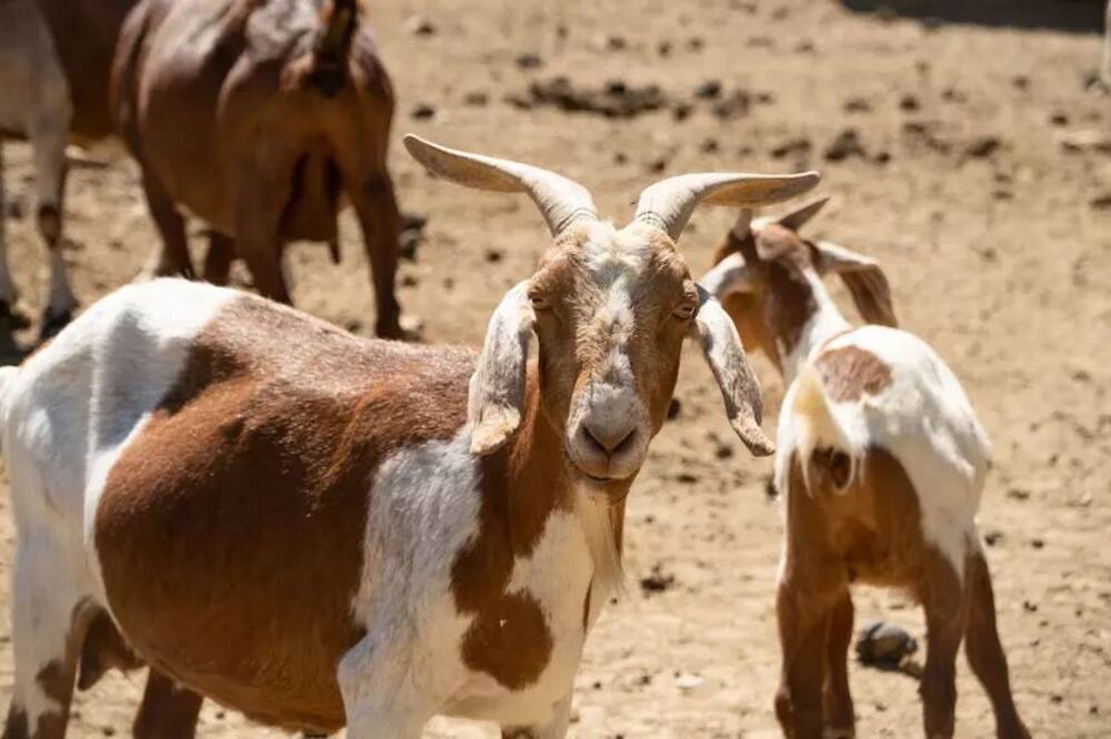 Photo of Others in Vacaville