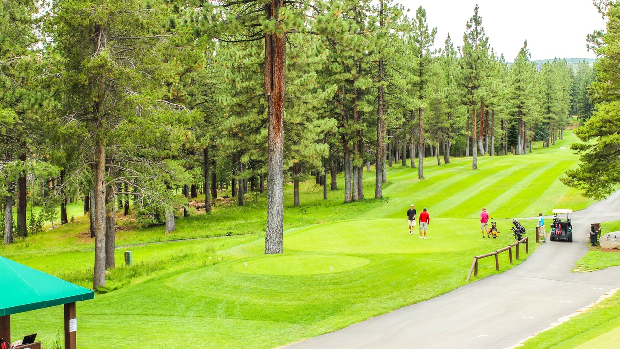 Photo of Others in Truckee
