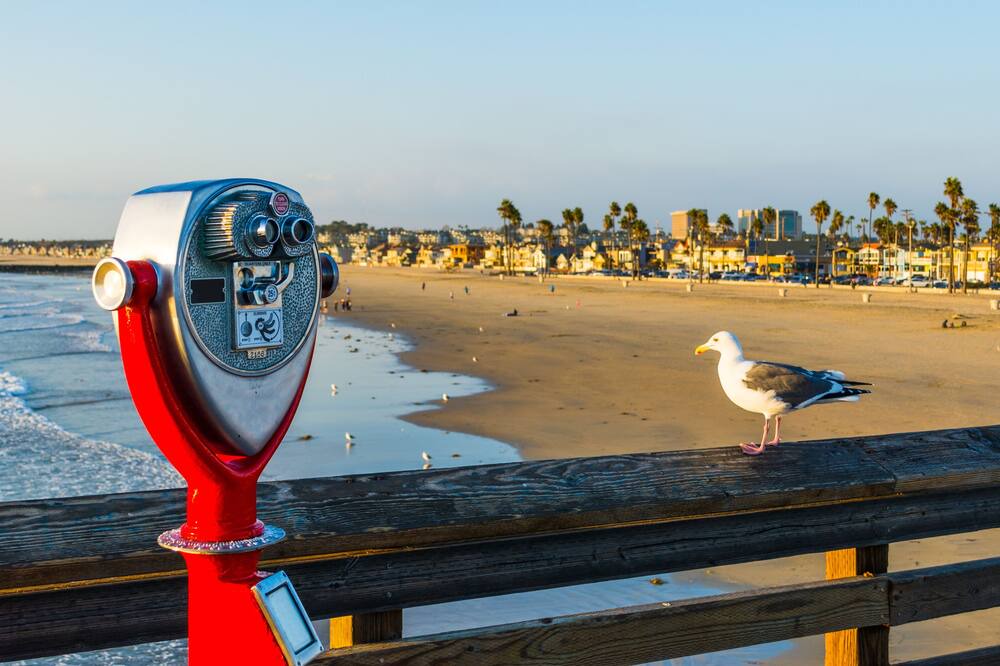 Photo of Others in West Newport