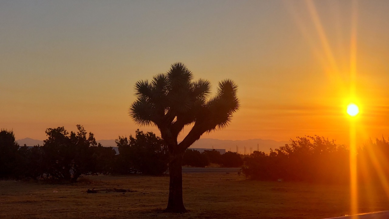 Photo of Outdoor in Hesperia