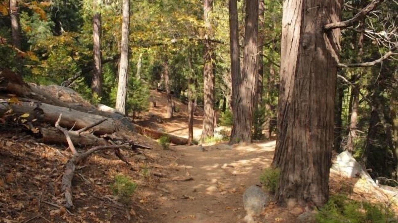 Photo of Outdoor in Crestline