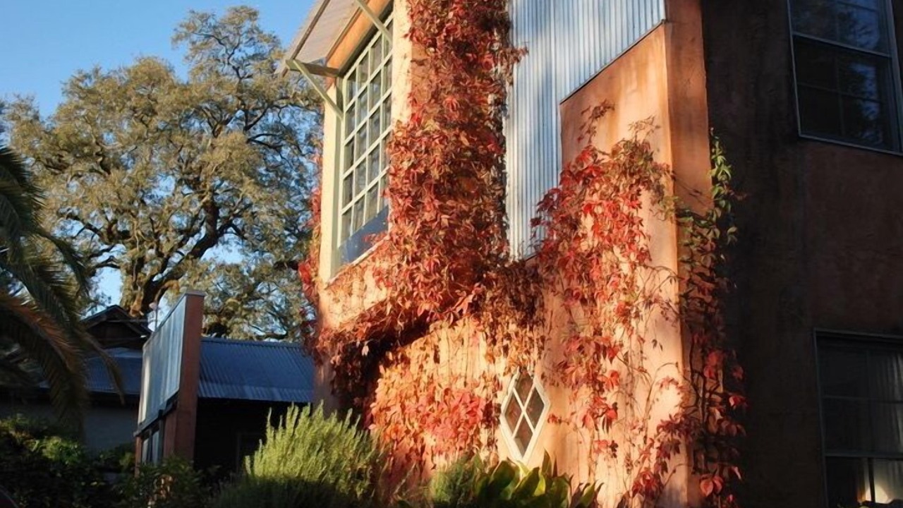 Photo of Outdoor in St. Helena