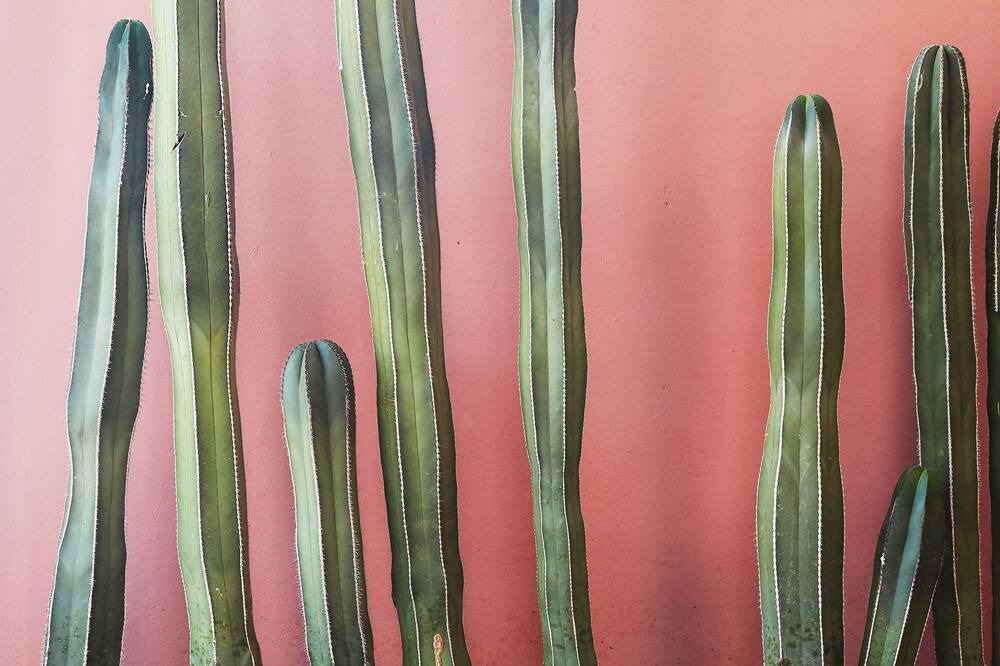 Photo of Outdoor in Desert Horizons