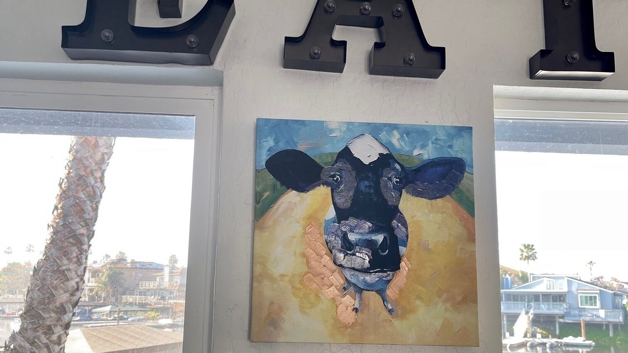 Photo of Others in Discovery Bay