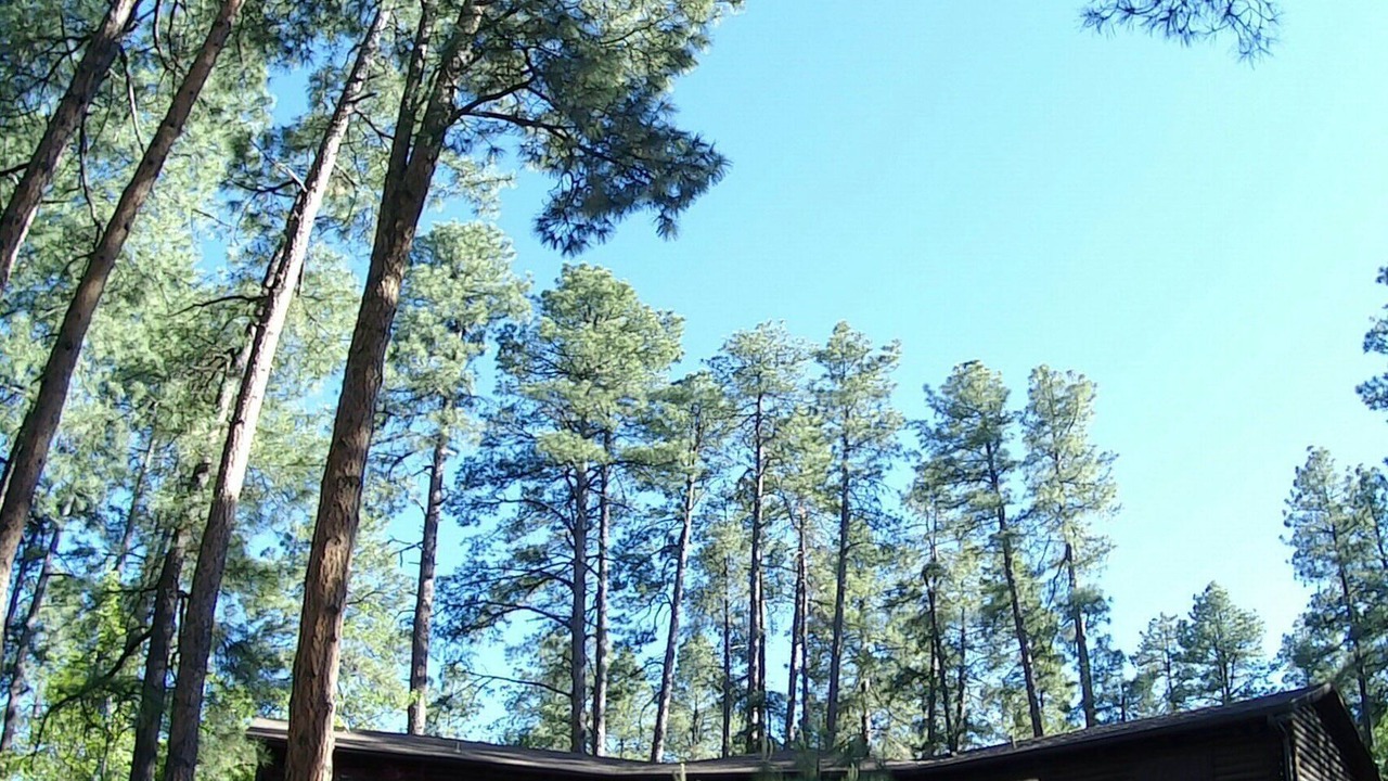 Photo of Outdoor in Groom Creek