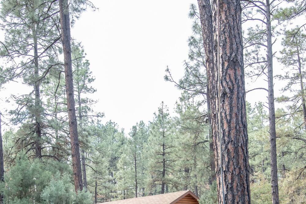 Photo of Others in Highland Pines
