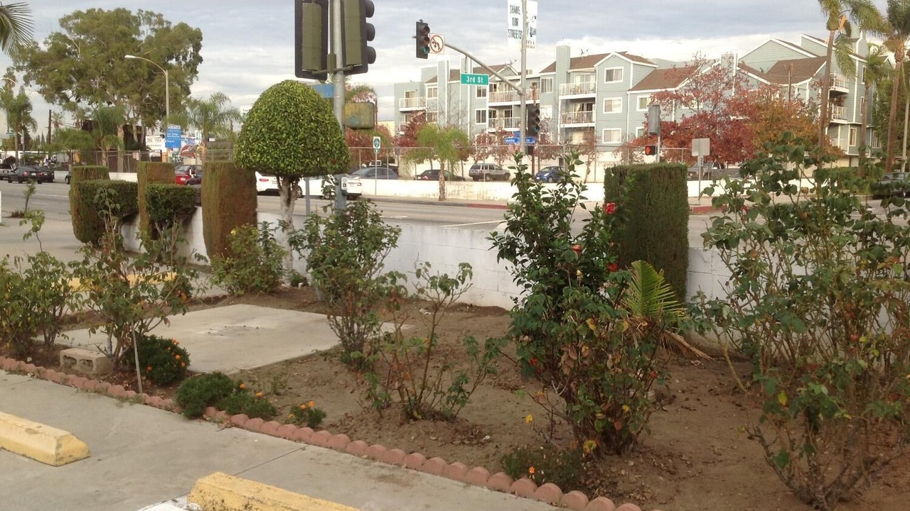 Photo of Outdoor in East Village