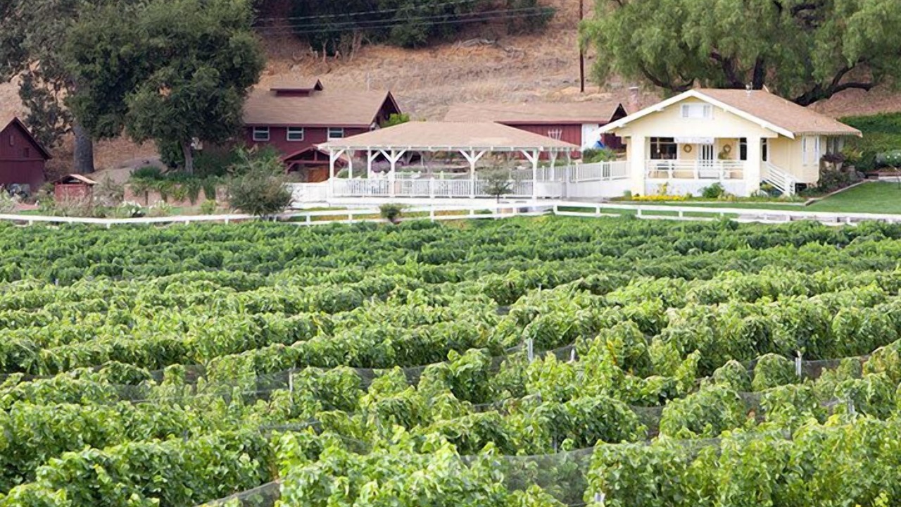 Photo of Others in Ballard