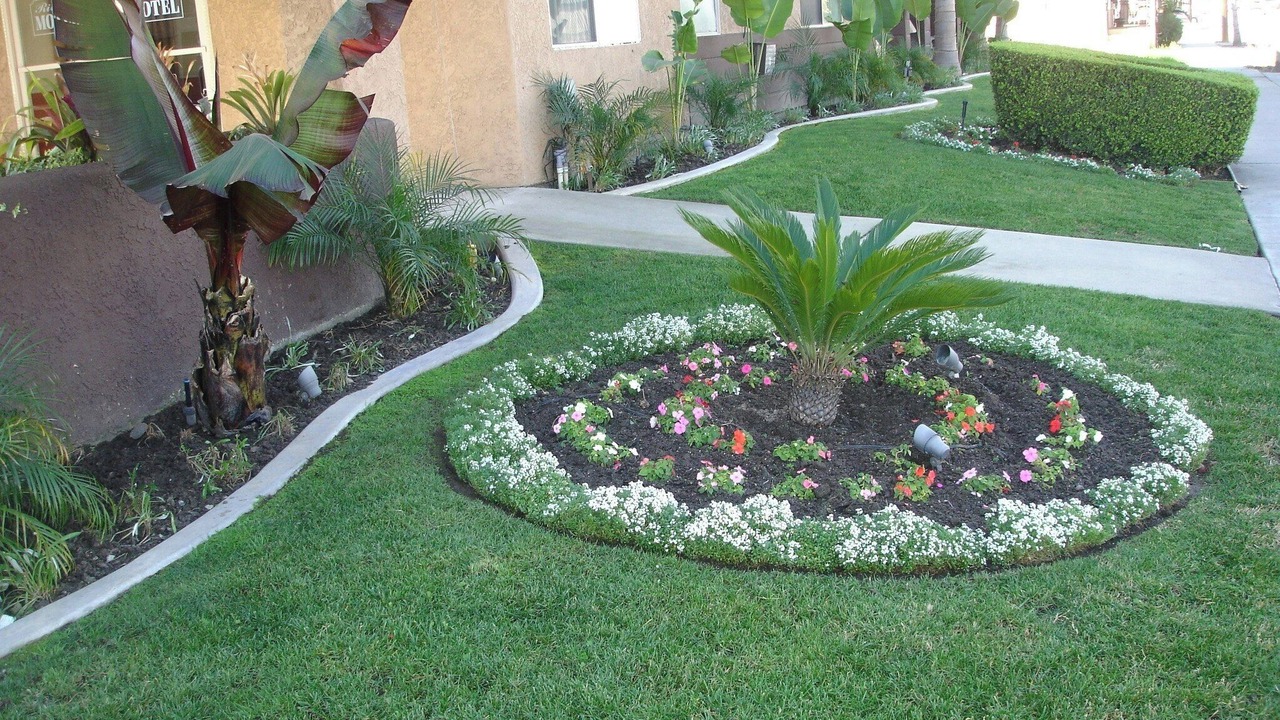 Photo of Outdoor in El Rancho