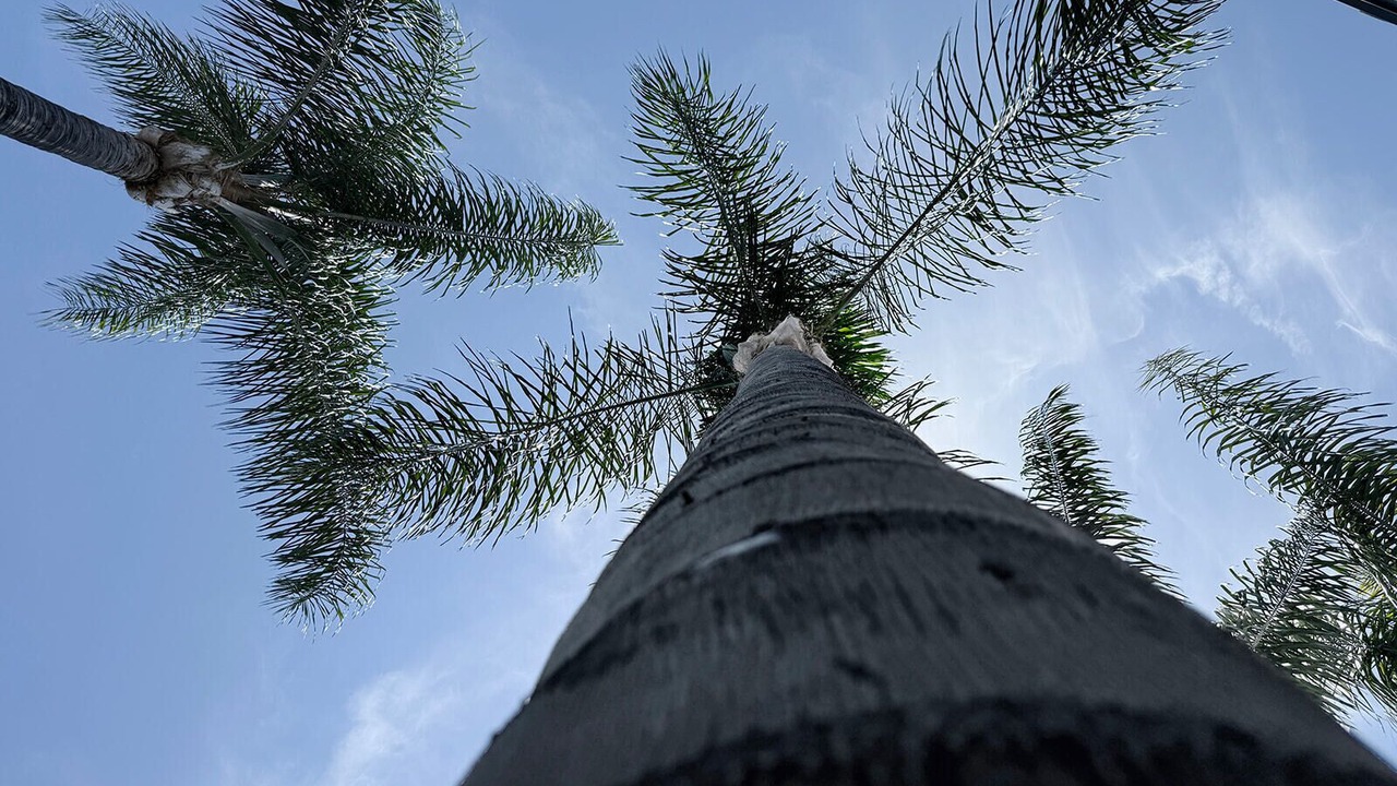Photo of Outdoor in Van Nuys