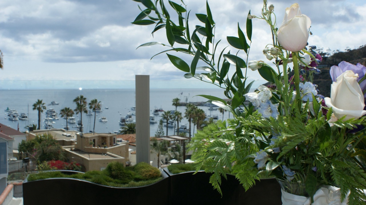 Photo of Outdoor in Avalon