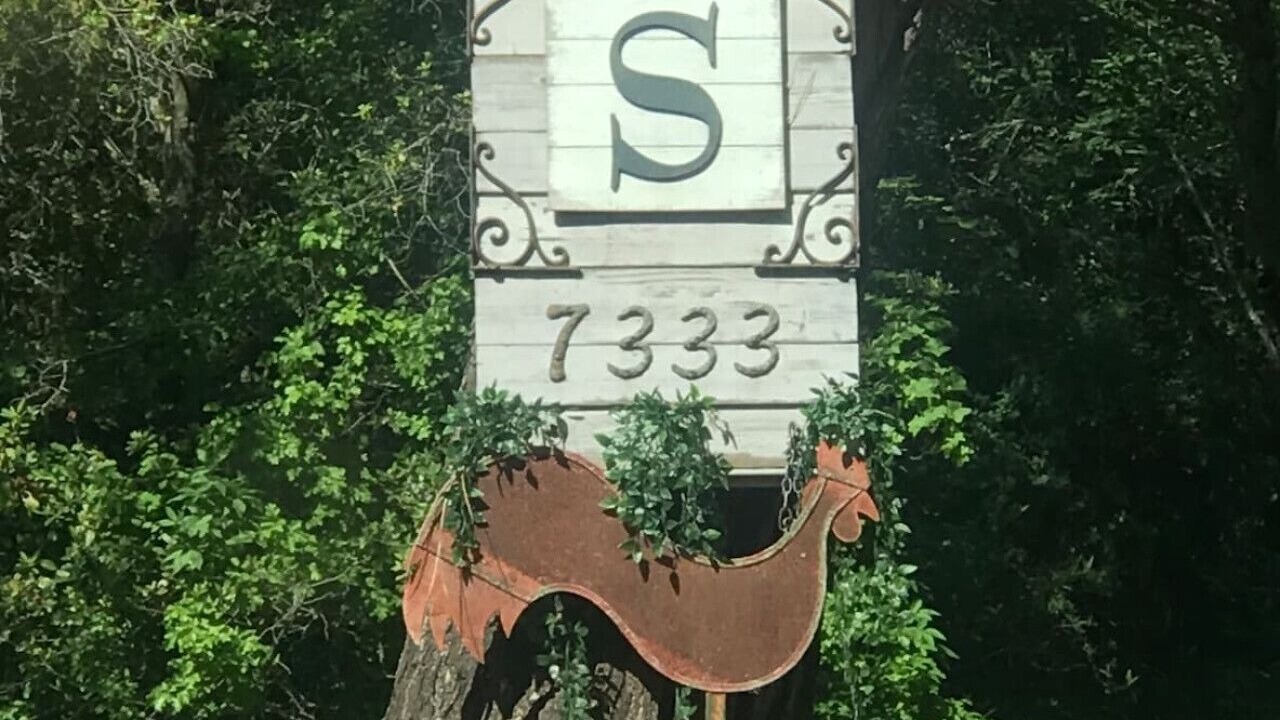 Photo of Outdoor in Loomis