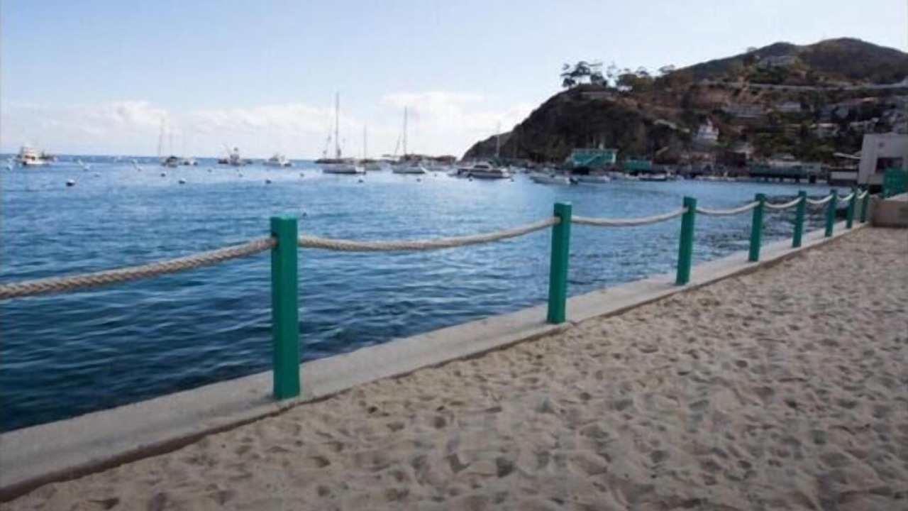 Photo of Others in Avalon