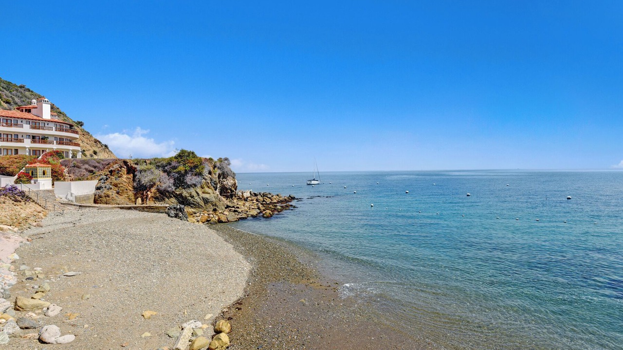 Photo of Others in Avalon