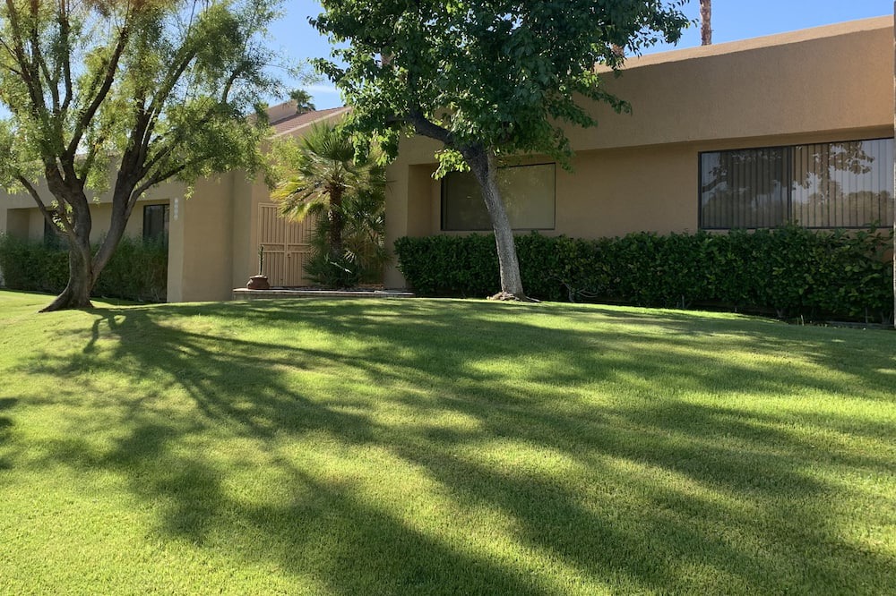 Photo of Others in Araby