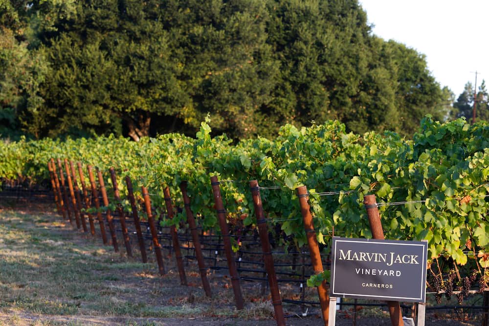 Photo of Outdoor in Napa