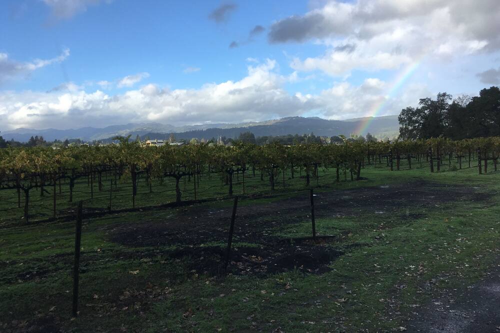 Photo of Others in St. Helena