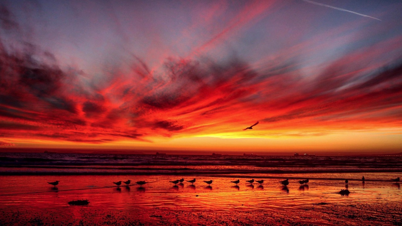Photo of Others in Sunset Beach